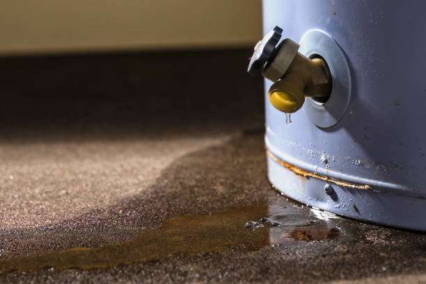 Best Fire Damage Restoration  in New Hope, MN