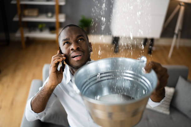 Best Water damage cleanup near me  in New Hope, MN