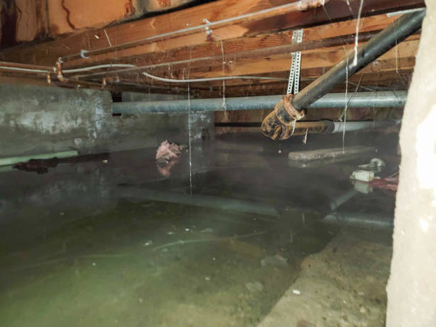 Best Emergency water damage restoration  in New Hope, MN