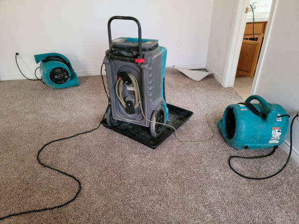 Best Local water damage restoration  in New Hope, MN