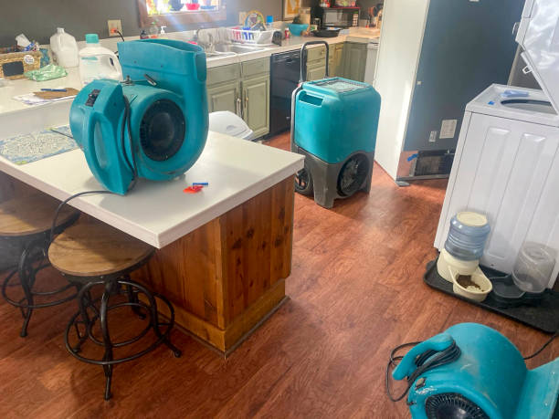 Best Professional water damage repair  in New Hope, MN