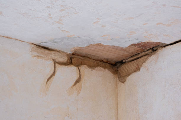 Best Professional water damage repair  in New Hope, MN
