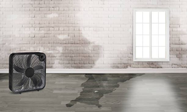 Best Water damage restoration services  in New Hope, MN