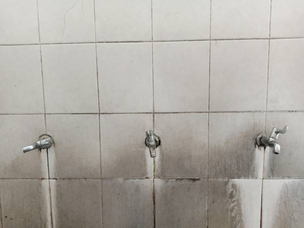 Best Water damage contractors near me  in New Hope, MN