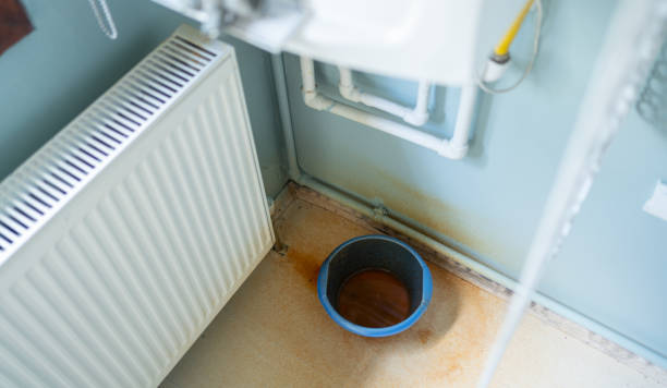 Best Ceiling water damage repair  in New Hope, MN