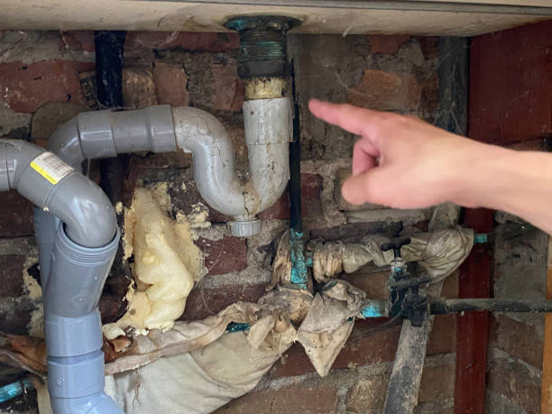 Best Carpet water damage restoration  in New Hope, MN