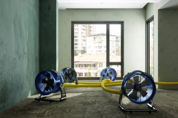Best Carpet water damage restoration  in New Hope, MN