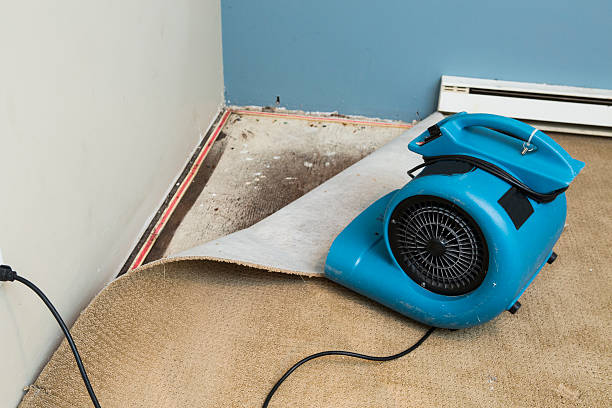 Best Ceiling water damage repair  in New Hope, MN